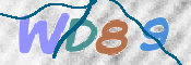 この文字を入力してください