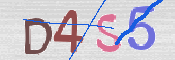 この文字を入力してください