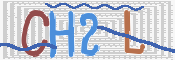 この文字を入力してください