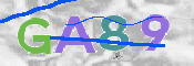この文字を入力してください