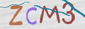 この文字を入力してください