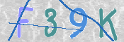 この文字を入力してください