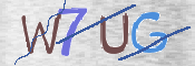 この文字を入力してください