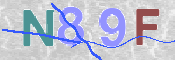 この文字を入力してください