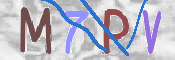 この文字を入力してください