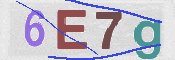 この文字を入力してください