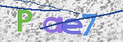 この文字を入力してください