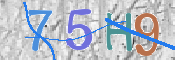 この文字を入力してください