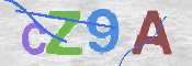 この文字を入力してください