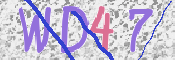 この文字を入力してください