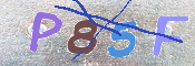 この文字を入力してください