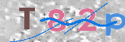 この文字を入力してください