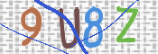 この文字を入力してください