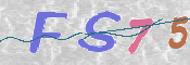 この文字を入力してください