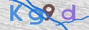 この文字を入力してください