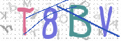 この文字を入力してください