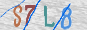 この文字を入力してください