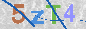 この文字を入力してください
