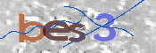 この文字を入力してください