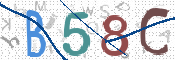 この文字を入力してください