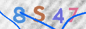 この文字を入力してください