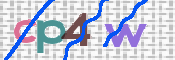 この文字を入力してください
