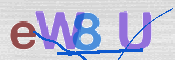 この文字を入力してください