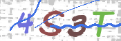この文字を入力してください