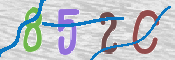 この文字を入力してください