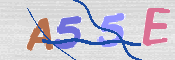 この文字を入力してください