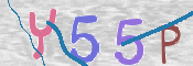 この文字を入力してください