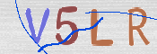 この文字を入力してください