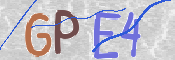 この文字を入力してください