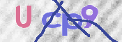 この文字を入力してください