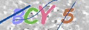 この文字を入力してください