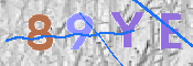 この文字を入力してください