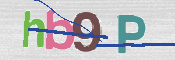 この文字を入力してください