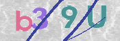 この文字を入力してください