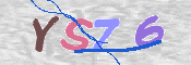 この文字を入力してください