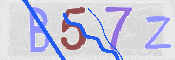 この文字を入力してください