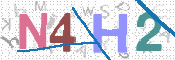 この文字を入力してください