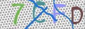 この文字を入力してください