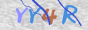 この文字を入力してください