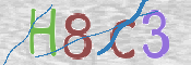 この文字を入力してください