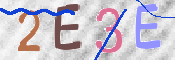 この文字を入力してください