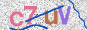 この文字を入力してください