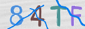 この文字を入力してください