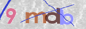 この文字を入力してください