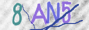 この文字を入力してください
