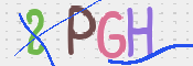 この文字を入力してください